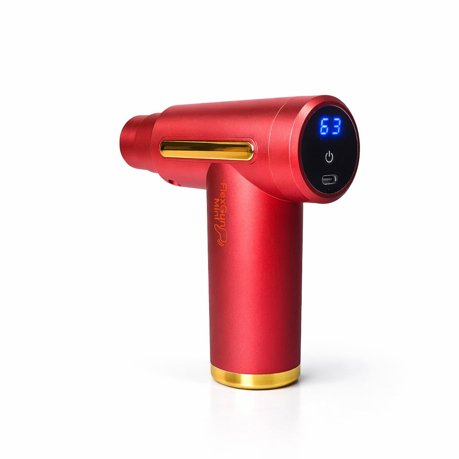 FlexGunMini™ - ÉCRAN LCD